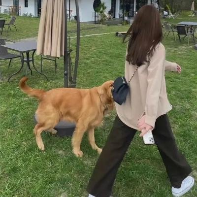 赛马娘第二季