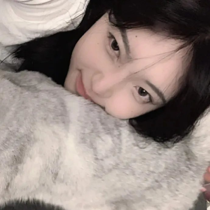 一条安达鲁狗
